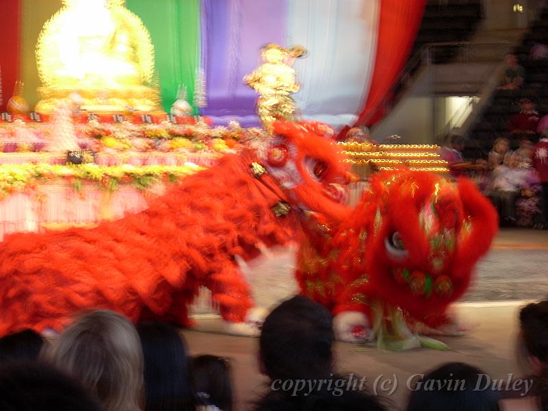 Lion Dance DSCN0226.JPG -           